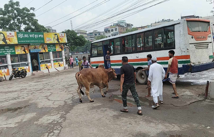 ক্রেতারা বলছেন, দামে কিছুটা উঠানামা থাকলেও বর্তমানে বাজার মোটামুটি সহনীয় পর্যায়ে রয়েছে।