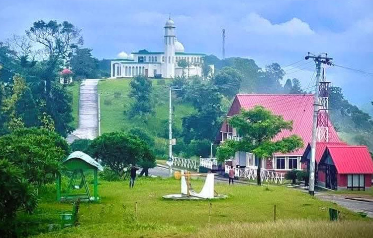 সাজেক রিসোর্ট অ্যান্ড কটেজ মালিক সমিতির দেওয়া তথ্য অনুযায়ী, বর্তমানে সাজেকে ৯৮টি কটেজ ও রিসোর্ট চালু রয়েছে। ঈদের ছুটিকে ঘিরে ৫ জুন পর্যন্ত এসব রিসোর্টে প্রায় শতভাগ বুকিং সম্পন্ন হয়েছে। অনেকেই আগেভাগেই রুম নিশ্চিত করে ফেলেছেন, যেন শেষ মুহূর্তে থাকতে সমস্যা না হয়।