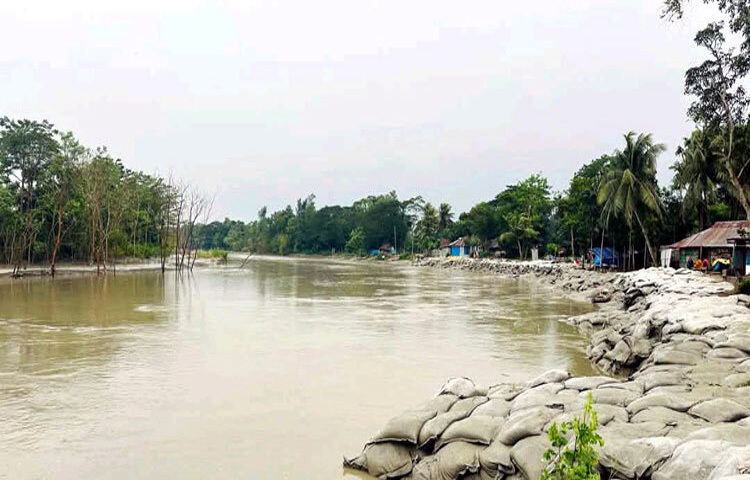 ছোট ফেনী নদীর ভয়াবহ ভাঙনে বিলীন হয়ে যাচ্ছে রাস্তা ও জনপদ। ফেনীর সীমানায় নোয়াখালীর মুছাপুরে স্লুইচগেট (রেগুলেটর) না থাকায় নদীর পানি নিয়ন্ত্রণ করা যাচ্ছে না, ফলে দিন দিন ভাঙনের তীব্রতা বেড়েই চলেছে। ছবি: আবদুল্লাহ আল-মামুন