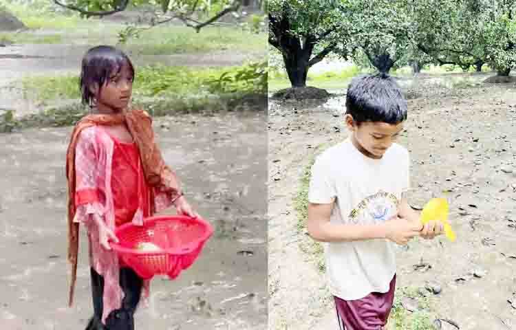 শিশু আলি হাসান বলে, ‘আমাদের আম গাছ নেই। তাই বাগানে এসে কুড়িয়ে খাই। এসব কুড়িয়ে পাওয়া আম থেকে মা আমসত্ত্ব তৈরি করেন। যা খেতে খুবই সুস্বাদু। এসব আমসত্ত্ব বাজারে বিক্রি হচ্ছে ৬০-৭০ টাকা কেজি। বৃষ্টিতে ভিজে আম কুড়াতে ভালো লাগে।