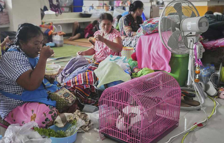 সুরিন প্রদেশের একটি উচ্ছেদ কেন্দ্রে খরগোশের সঙ্গে সময় কাটাচ্ছেন এক বাসিন্দা।