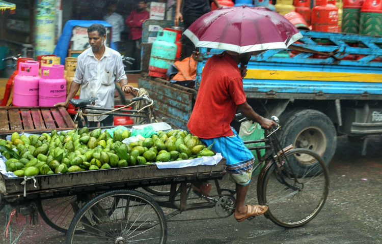 দিনমজুর, রিকশাচালক, গার্মেন্টসের অস্থায়ী শ্রমিকরা যারা প্রতিদিন সকালে বের হয় জীবিকা অর্জনের তাগিদে, তারা এই বৃষ্টির কারণে অনেকটাই ব্যর্থ। আজকের দিনটা তাদের জন্য খুব একটা ভালো যাচ্ছে না। কারণ ঝিরি ঝিরি বৃষ্টিতে কাজ খুঁজতে গেলে অনেক সময়ই সমস্যায় পড়তে হয়।