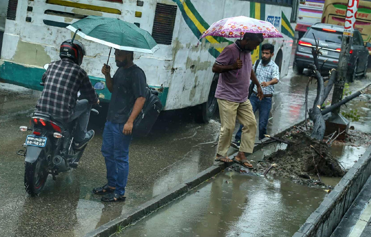 এই ভেজা সকালের আড়ালে লুকিয়ে আছে হাজারো মানুষের গল্প; কারো তাড়াহুড়া অফিসে পৌঁছানোর, কারো স্বপ্ন নতুন চাকরির, আবার কারো শুধু দৈনন্দিন সংগ্রাম।
