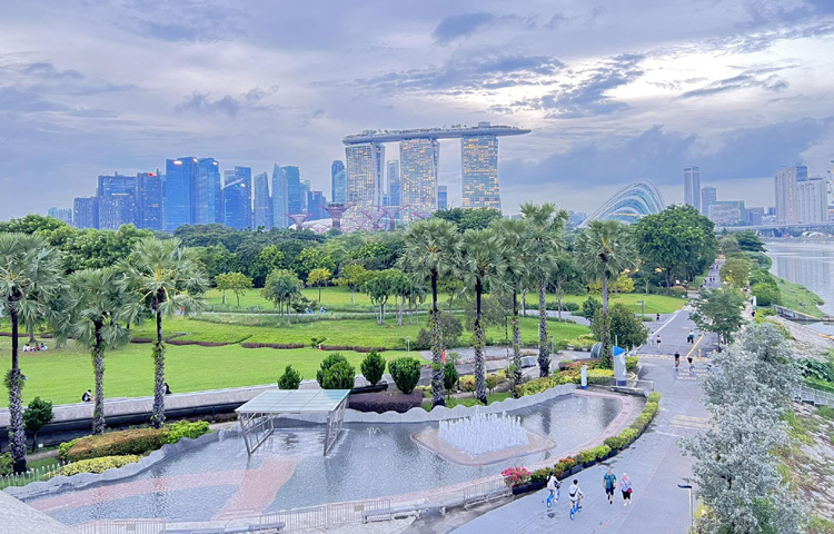 ভবিষ্যতের রাজনৈতিক পরিস্থিতিও সহজ নয়। চীন ও যুক্তরাষ্ট্রের কূটনৈতিক উত্তেজনার মাঝে সিঙ্গাপুর তার নিরপেক্ষ অবস্থান রক্ষায় জোর দিচ্ছে। তবে ২০২০ সালে আঞ্চলিক বৃহৎ বাণিজ্যিক চুক্তি আরসিইপির নেতৃত্বে স্বাক্ষর দেশটির অর্থনৈতিক নিরাপত্তার লক্ষণ স্বরূপ।