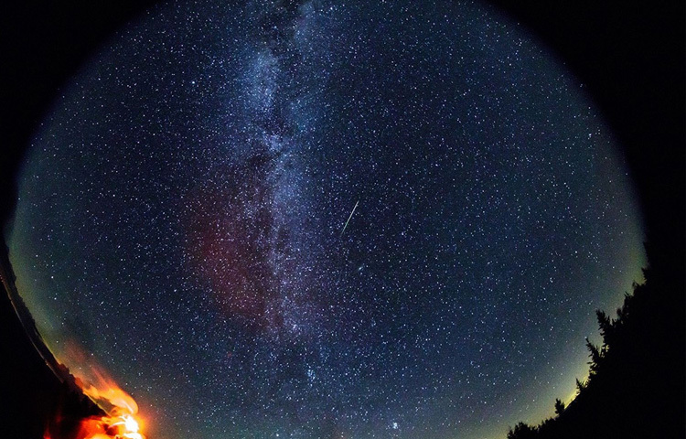 এ বছর এই স্বর্গীয় দৃশ্য ধরা দেবে ১২ ও ১৩ আগস্ট রাতে। উত্তর গোলার্ধের যেকোনো প্রান্ত থেকেই তা দেখা যাবে, আর সেই তালিকায় আছে আমাদের বাংলাদেশও। মঙ্গলবার রাত থেকে বুধবার ভোর এই সময়টিই হবে পারসিয়েডস উল্কাবৃষ্টির সবচেয়ে মনোমুগ্ধকর মুহূর্তের সাক্ষী হওয়ার সেরা সুযোগ।