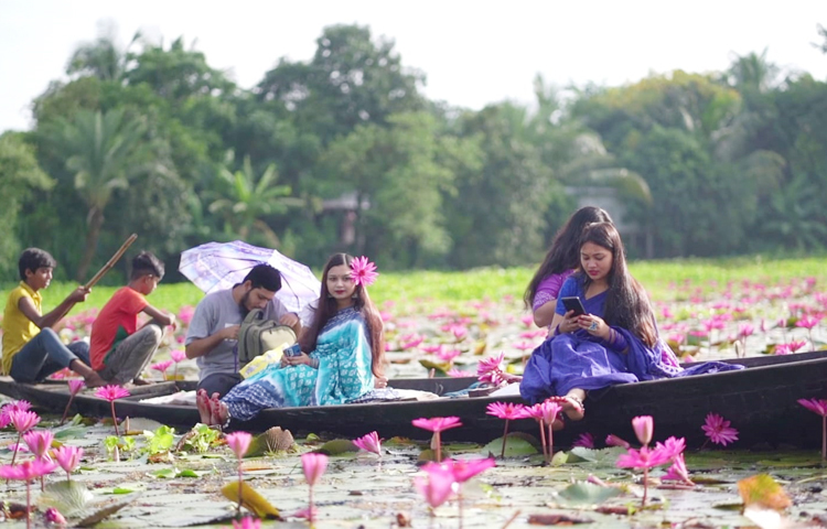 প্রতিদিনই শাপলার অপূর্ব দৃশ্য দেখতে ছুটে আসেন বিভিন্ন এলাকার প্রকৃতিপ্রেমীরা। কেউ হাতে ক্যামেরা, কেউবা নৌকায় চেপে ঘুরে বেড়াচ্ছেন। শাপলার আসল সৌন্দর্য দেখা যায় ভোরের আলোয়। কারণ দুপুর নাগাদ ফুলগুলো বন্ধ হয়ে যায়।