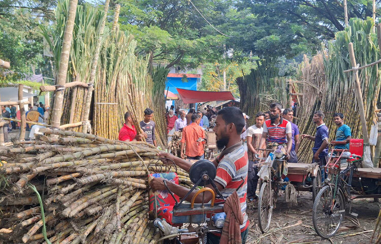 বাগেরহাটের কচুয়া উপজেলার ফুলতলা গ্রামের আলী আকবর বলেন, ‘গত বছর দুর্যোগের মাত্রা বেশি ছিল। আমাদের এলাকার বেশিরভাগ চাষির লোকসান হয়। এ বছর আখের ফলন ভালো হয়েছে, দামও ভালো পেয়েছি। কিন্তু ধারদেনা করে চাষ করি। গত বছরের লোকসানের ঋণ শোধ করতে হবে। সারা বছর চার সদস্যের পরিবার নিয়ে কীভাবে চলবো সেই চিন্তায় আছি। চাষিরা ঘুরে দাঁড়াতে কৃষি অফিস থেকে সামান্য সহযোগিতাও পান না।’