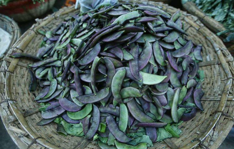 তরতাজা সিম ৭০