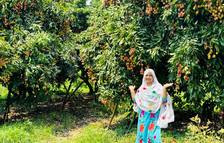 বাংলাদেশসহ উপমহাদেশে লিচুর বিপুল চাহিদা রয়েছে। জিআই পণ্য হিসেবে এটিকে আলাদাভাবে চিহ্নিত করা গেলে তা গ্রাহকের মধ্যে আস্থা ও আকর্ষণ তৈরি করবে।