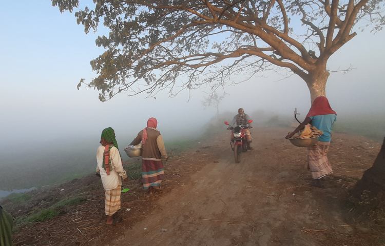 বিদায় নেওয়া শীত যেন পাবনায় নতুন করে ফিরে এসেছে। রাতে প্রচণ্ড ঠান্ডা আর সকালে ঘন কুয়াশা পড়ছে। ছবি: আমিন ইসলাম জুয়েল
