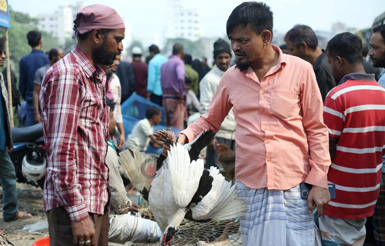 এ বাজারে দূর-দূরান্ত থেকে ছুটে আসছেন ক্রেতারা। কিনে নিচ্ছেন তাদের পছন্দমতো হাঁস। ছবি: মাহবুব আলম