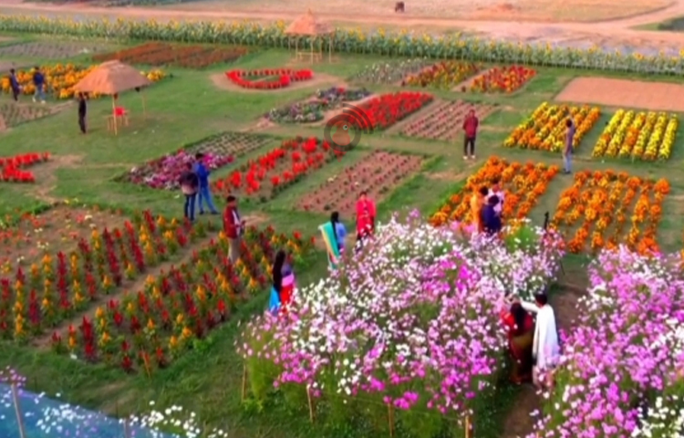 দর্শনার্থীরা বলছেন, শহরের ক্লান্তি ভুলতে শীতকে অপেক্ষা করে ফ্লাওয়ার লেকের সৌন্দর্য উপভোগ করতে এসেছেন তারা। ছবি: লিপসন আহমেদ