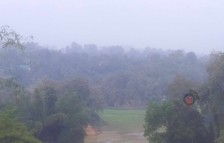 শিশিরে ভেজা পাহাড়। ছবি: সাইফুল উদ্দিন