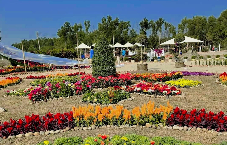 আজ থেকে চট্টগ্রামের সীতাকুন্ডের ডিসি পার্কে শুরু হচ্ছে মাসব্যাপী ফুল উৎসব। এরই মধ্যে দেশি-বিদেশি নানা রঙের ফুল দিয়ে সাজানো হয়েছে ডিসি পার্ক। ছবি: এম মাঈন উদ্দিন