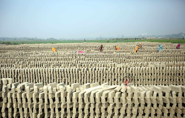কাঁচা ইট রোদে শুকাতে ব্যস্ত শ্রমিকরা। ছবি: বিপ্লব দীক্ষিত