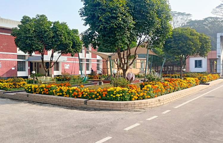 জেলা পুলিশ সূত্রে জানা যায়, প্রতিবছর শীত মৌসুম এলে পুলিশ লাইন জুড়ে নানা জাতের গাঁদা ফুলের বাগান গড়ে তোলা হয়। ছবি: বিধান মজুমদার অনি