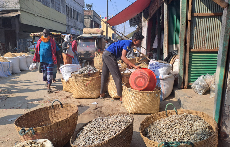 কালক্রমে এখানে একটি গঞ্জ গড়ে ওঠে। এলাকাটি একসময় ‘গঞ্জের হাট’ নামে পরিচিতি লাভ করে। ধীরে ধীরে এখানকার ব্যবসায়িক সুনাম সারাদেশে ছড়িয়ে পড়ে। ১৯১৩ সালে ১০ একর জায়গার ওপর একটি বাজার তৈরি করা হয়। ছবি: নাসিম উদ্দিন