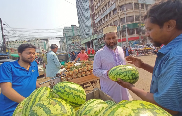 কোথাও আবার অপরিপক্ব ছোট তরমুজ বিক্রি হচ্ছে ১৫০ টাকা পিস দরে। ছবি: মাহবুব আলম
