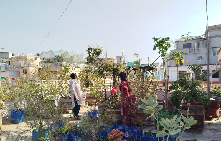 রাজধানীর বনশ্রী এলাকায় নিজ বাড়িতে এই শখের বাগান গড়ে তুলেছেন এশা ও লামিয়া নামের দুই খালাতো বোন। বাড়ির ছাদে ফল-ফুল ও শাক-সবজির বাগান গড়ে তুলে সাড়া ফেলেছেন তারা। বৃক্ষপ্রেমীদের কাছে বাড়িটি এখন অনুকরণীয় দৃষ্টান্ত। ছবি: মামুনূর রহমান হৃদয়