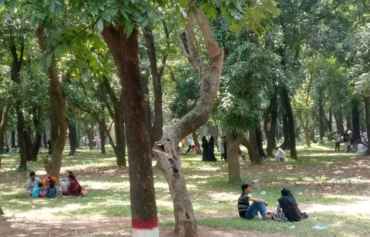 আজ দুপুরে ঢাকার তাপমাত্রা ৩৭ ডিগ্রি সেলসিয়াস। মিরপুরের জাতীয় চিড়িয়াখানায় খাঁচার সামনে ৬-৭ জন দর্শনার্থী চিত্রা হরিণ দেখছেন। তখন খাঁচার সামনের সড়ক সংলগ্ন ছায়াঘেরা ফুটপাতে ও উদ্যানে বিশ্রাম নিচ্ছেন শতাধিক দর্শনার্থী। ছবি: জাগো নিউজ