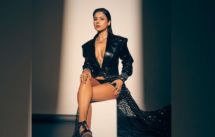 নিজেকে পাঞ্জাবের ক্যাটরিনা কাইফ বলেও দাবি করেন এই নায়িকা। খুব অল্প সময়েই সবার মনে জায়গা করে নিয়েছেন তিনি। ছবি: ইনস্টাগ্রাম থেকে