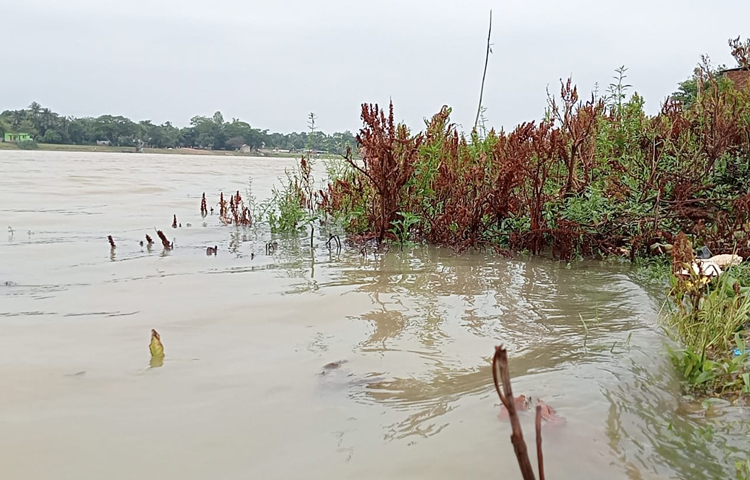 ২০২২ সালে এই ভাটির জেলায় যে বন্যা পরিস্থিতি সৃষ্টি হয়েছিল সেই ক্ষত এখনও ভোলেননি এই অঞ্চলের মানুষ। ছবি: লিপসন আহমেদ