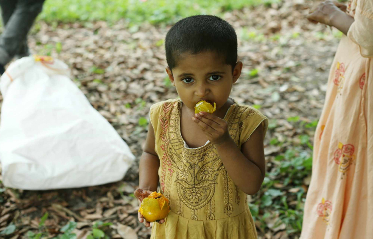 পাকা আম কুড়িয়ে তৃপ্তি নিয়ে খাচ্ছে শিশু। ছবি: মাহবুব আলম