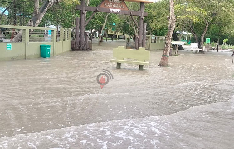 জানা গেছে, পানি বাড়ার ফলে বন্যপ্রাণীর কোনো ক্ষয়ক্ষতির আশঙ্কা নেই। ছবি: আবু হোসাইন সুমন