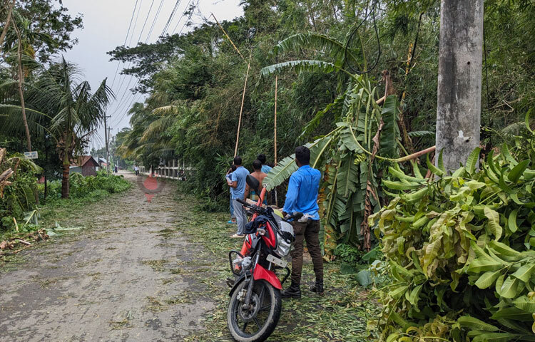 পরে থাকা গাছ সরিয়ে লাইনগুলো চেক করে নিচ্ছেন বিদ্যুৎকর্মীরা। ছবি: আসাদুজ্জামান মিরাজ