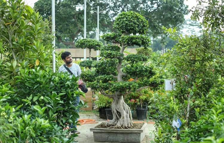 প্রধানমন্ত্রীর উদ্বোধনের সর্বসাধারণের জন্য উন্মুক্ত করা হয়েছে এ মেলা। ছবি: মাহবুব আলম