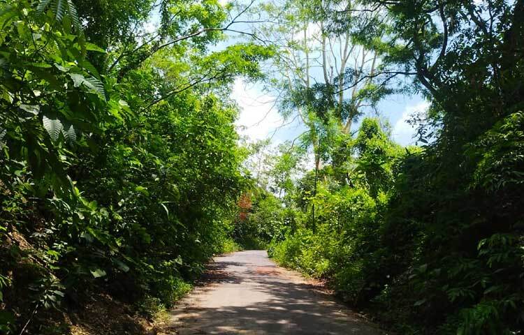 সড়কঘেঁষা পাহাড়গুলোতে গাঢ় সবুজের সমারোহ দেয় চোখের প্রশান্তি। স্বীকৃত কোনো পর্যটনকেন্দ্র না হলেও এ সড়কের সৌন্দর্য দেখতে দিন দিন বাড়ছে পর্যটক। ছবি: এম মাঈন উদ্দিন