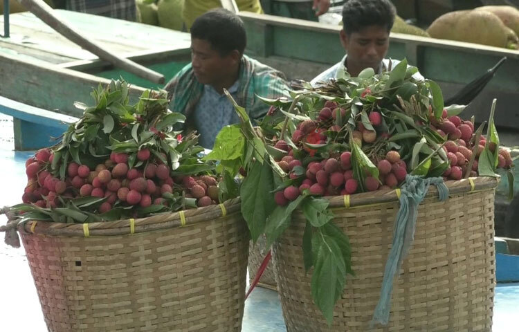 লিচুতে রয়েছে প্রচুর মিনারেল। এছাড়া এতে প্রোটিন ও কার্বোহাইড্রেট থাকে খুব অল্প পরিমাণে। ফ্যাট না থাকয় সবার জন্য বেশ উপকারি এ ফল। ছবি: সাইফুল উদ্দীন