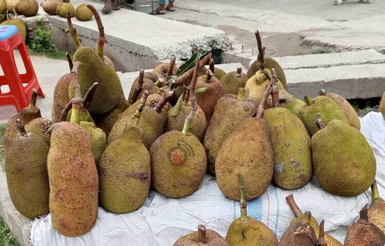 বাতাসে ছড়াচ্ছে পাকা কাঁঠালের ঘ্রাণ। ছবি: আলমগীর হান্নান