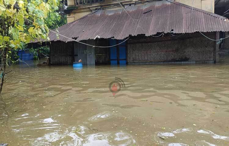 পানিবন্দি হয়ে আছে ফেনাফুনী, ওসমানপুরের মরগাং, চিনকীআস্তানা ও খিলমুরালী গ্রামের সহস্রাধিক পরিবার। ছবি: এম মাঈন উদ্দিন