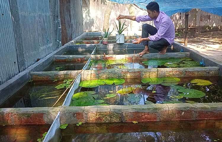 চৌবাচ্চায় রঙিন মাছের যত্ন নিচ্ছেন রায়হান। ছবি: ইব্রাহিম সুজন