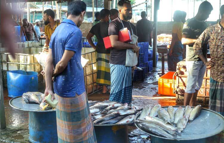 কোটা আন্দোলন ঘিরে পণ্য সরবরাহ ব্যাপকভাবে ব্যাহত হওয়ায় দামও বেড়ে গিয়েছিল। আজ সকালে রাজধানীর বিভিন্ন বাজার ঘুরে দেখা গেছে, মাছের দাম কেজিপ্রতি ৫০-১০০ টাকা পর্যন্ত কমেছে, যা গত সপ্তাহেই বেড়েছিল। ছবি: মাহবুব আলম