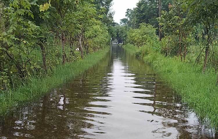 এছাড়া জেলার দ্বীপ উপজেলা হাতিয়া, উপকূলীয় উপজেলা কোম্পানীগঞ্জ, কবিরহাট, সুবর্ণচর, বেগমগঞ্জে চৌমুহনীসহ জেলার নিম্নাঞ্চল প্লাবিত হয়েছে। ছবি: ইকবাল হোসেন মজনু