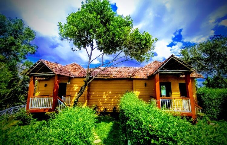 শ্রীমঙ্গলের রাধানগরে অবস্থিত নভেম ইকো রিসোর্ট চা বাগানের সবুজে ঘেরা অনন্য সুন্দর এক রিসোর্ট। রিসোর্টটির চারপাশ ঘিরে রয়েছে ছোট ছোট টিলা ও চা বাগান। এখানে রয়েছে স্পোর্টস রুম, সুইমিংপুল, ব্যাডমিন্টন কোর্ট ইত্যাদি। এখানে একটি দৃষ্টিনন্দন কাঠের ব্রিজ রয়েছে। এ ছাড়া এই রিসোর্টের সবকিছুতেই রয়েছে প্রকৃতির ছোঁয়া। রুমভেদে ৭ হাজার টাকা থেকে শুরু করে ২৫ হাজার টাকার বিভিন্ন প্যাকেজ রয়েছে নভেম ইকো রিসোর্টে। ছবি: ওমর ফারুক নাঈম