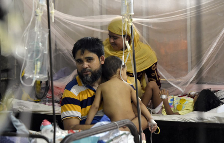 ডেঙ্গু এবং মশাবাহিত অন্যান্য ভাইরাসজনিত অসুখের বিস্তার রোধ করতে একটি বৈশ্বিক পরিকল্পনা পেশ করেছে জাতিসংঘের স্বাস্থ্য নিরাপত্তা বিষয়ক অঙ্গসংগঠন বিশ্ব স্বাস্থ্য সংস্থা (ডব্লিউএইচও)। ছবি: সংগৃহীত