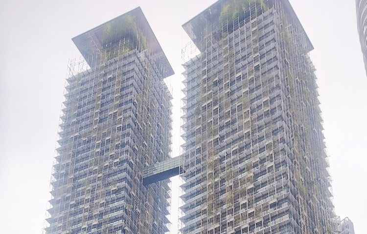 শহরের ভেতরে হেঁটে বেড়ালে কিংবা ট্রেনে ভ্রমণ করে এখানকার সব বৈচিত্রময় সংস্কৃতি দেখতে পাবেন। কুয়ালালামপুরে ঘোরার জন্য স্পটের অভাব নেই। পেট্রোনাস টাওয়ার, পেরডানা বোটানিক্যাল গার্ডেন ও মেনারা কেএল টাওয়ার মতো আকর্ষণীয় স্থান আছে। ছবি: এম মাঈন উদ্দিন