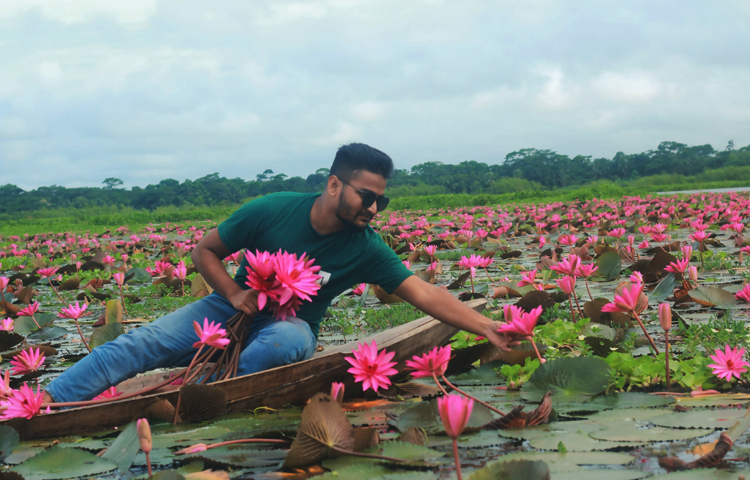 শাপলা যেন সাতলার মানুষের জীবনের প্রতীক। এ ফুল শুধু প্রাকৃতিক সৌন্দর্য নয়, জীবনের প্রতিদিনকার সংগ্রামের মধ্যেও শান্তির প্রতীক হয়ে ওঠে। নৌকা ভ্রমণ, আলোকচিত্র এবং প্রকৃতির শান্তিতে কিছুটা সময় কাটানোর জন্য সাতলা বিল আদর্শ স্থান। দুই পাড়ের মাঝে শাপলার ভেলায় চড়ে সময় যেন হারিয়ে যায়। ছবি: বি এম সাকিব