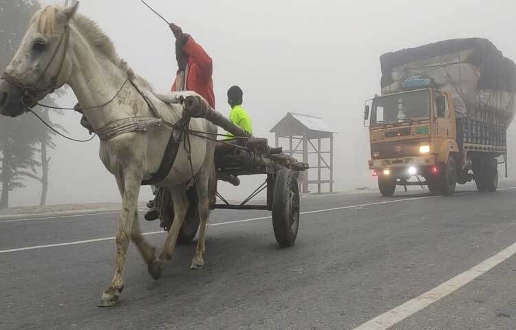 কুয়াশার সঙ্গে ঠাণ্ডার তীব্রতা বৃদ্ধি পাওয়ায় বিপাকে পড়েছে দিনমজুর ও খেটে খাওয়া মানুষজন। ঘন কুয়াশা ও শীতের তীব্রতা বৃদ্ধিতে সময়মতো কাজে যেতে পারছেন না অনেকে।