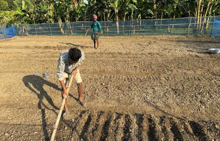 দেশে যে পরিমাণ জিরার চাহিদা তার পুরোটাই আমদানি করতে হয়। জিরা চাষে সফলতা আসলে আমদানি নির্ভরতা অনেকাংশে কমবে বলে আশা করছেন সংশ্লিষ্টরা।