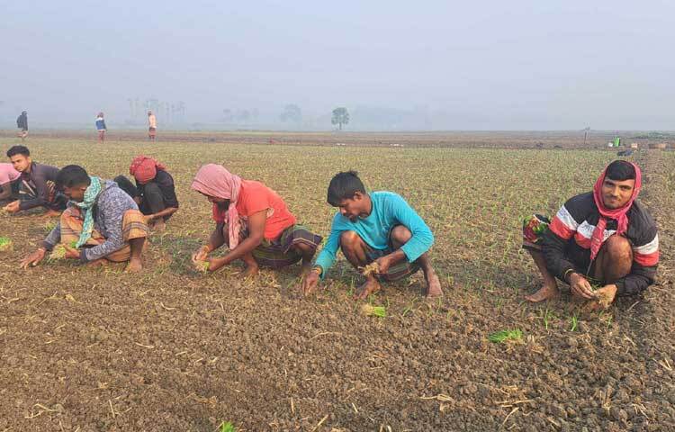 তাদের সঙ্গে ব্যস্ত সময় কাটাচ্ছেন স্থানীয় ও দেশের বিভিন্ন জেলা থেকে আসা লক্ষাধিক নারী-পুরুষ শ্রমিক।