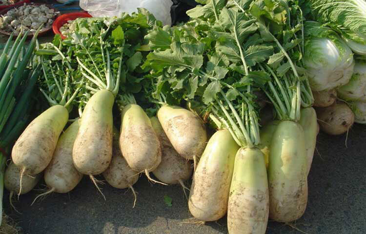 মুলায় প্রচুর বিটা ক্যারোটিন, আয়রন, ভিটামিন বি ও সি আছে। মুলা বিভিন্ন ক্যানসার প্রতিরোধ করে। ওজন হ্রাস করে। কিডনি ও পিত্তথলিতে পাথর তৈরি প্রতিরোধ করে।