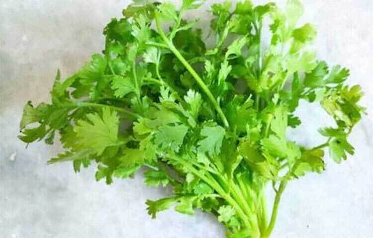 ধনেপাতা রক্তে ইনসুলিনের ভারসাম্য বজায় রাখে আর রক্তে শর্করার পরিমাণও নিয়ন্ত্রণে রাখে।