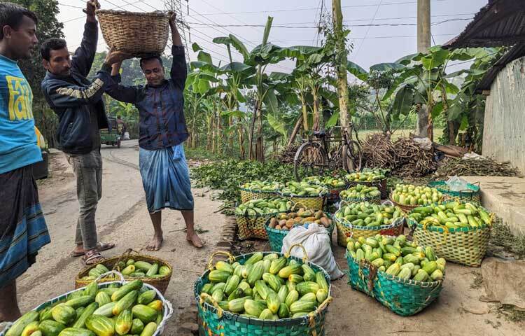 পূর্ব খৈয়াছড়া রেলগেট এলাকায় বসে ক্ষিরা বিক্রির মৌসুমি পাইকারি বাজার। ক্ষিরা কিনতে সকাল থেকে ভিড় করতে দেখা যায় দূর থেকে আসা পাইকারি ব্যবসায়ীদের। সকাল ৭টা থেকে ক্ষিরা বেচা শুরু হয়ে ৮টার মধ্যে গাড়ি বোঝাই করে নিয়ে যান ব্যবসায়ীরা।