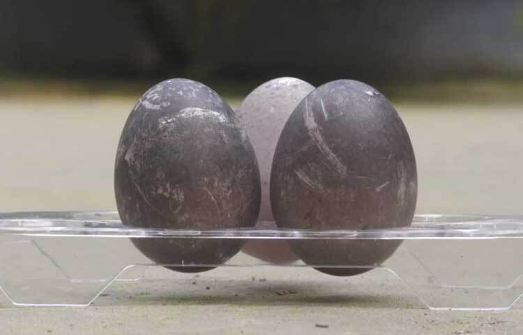 এ বিষয়ে জেলা প্রাণিসম্পদ অধিদপ্তরের কর্মকর্তা ডা. হাবিবুর রহমান বলেন, জেনেটিক্যালি ডিমের রং কালো হতে পারে। এতে ডিমের পুষ্টিগুণ ঠিক থাকে। এটি একটি অস্বাভাবিক ঘটনা। তবে এতে আতঙ্কিত বা কুসংস্কার মনে করার কিছু নেই।