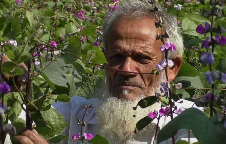 বিষমুক্ত চাষের মাধ্যমে নতুন কৃষি আন্দোলন শুরু করেছেন উত্তরাঞ্চলের চাষিরা।