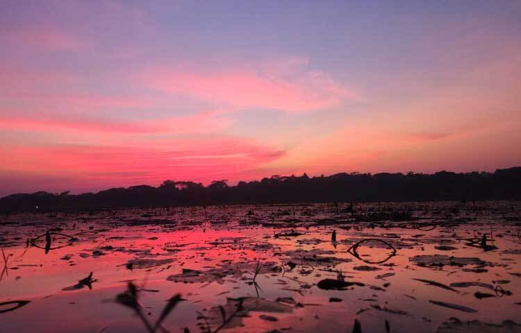 গোধূলির সময় এই বিল ধারণ করে এক মায়াবী রূপ। সূর্য যখন পশ্চিম আকাশে লাল-কমলা রঙ ছড়িয়ে বিদায় জানায়, তখন বিলের পানিতে সোনালি আভা ছড়িয়ে পড়ে।